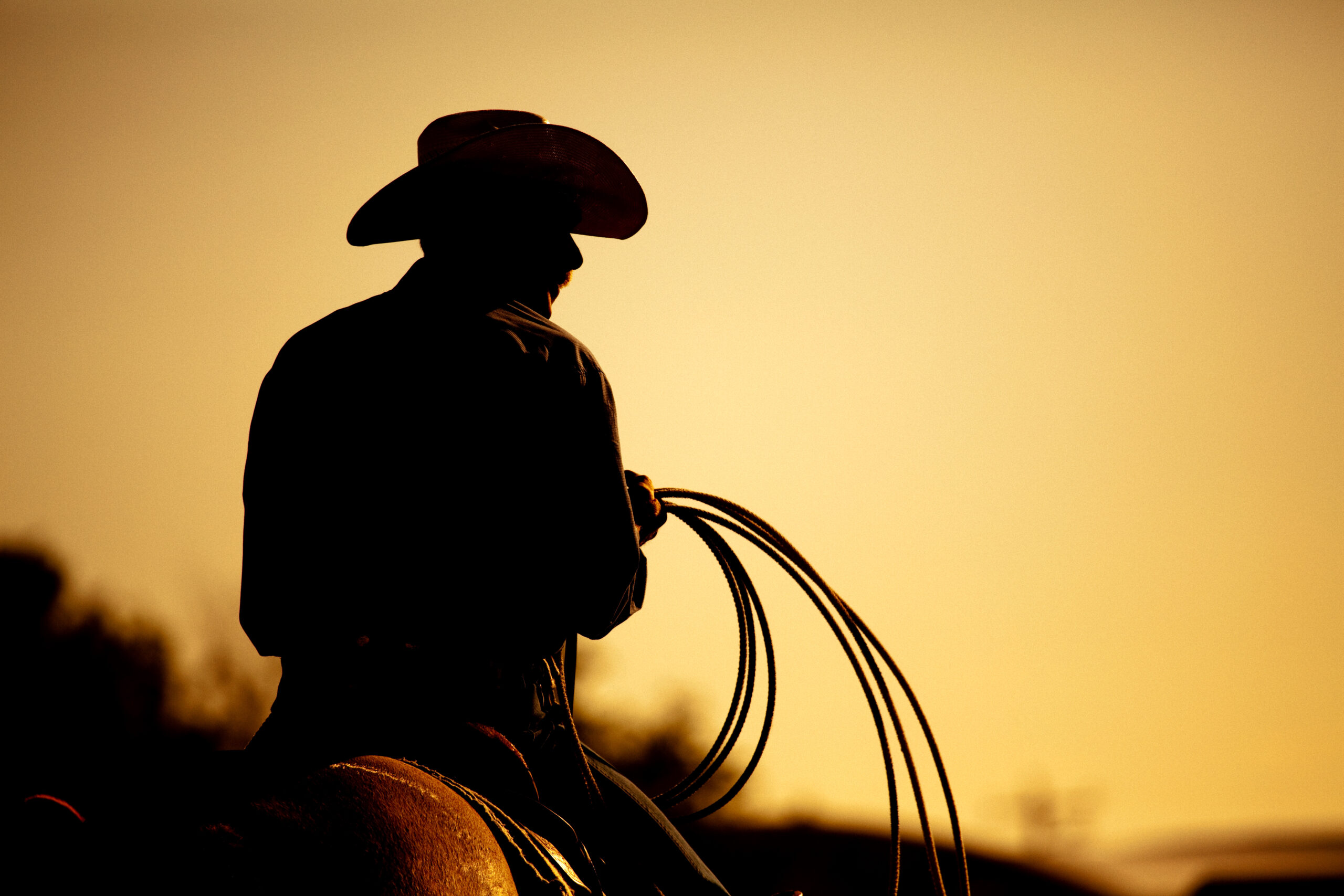 Rodeo Cowboy Silhouette
